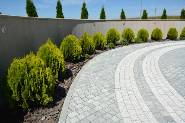 Best Driveway Paving Contractor  in Cumberland Head, NY